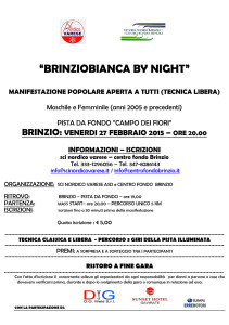Brinziobianca by night